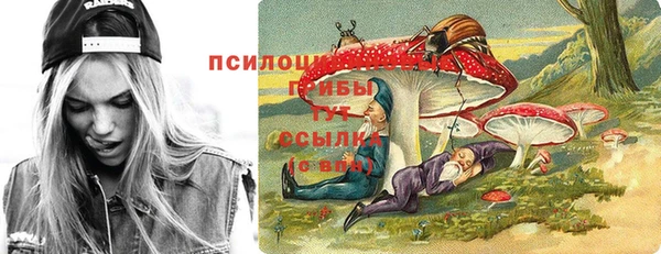 дживик Верея
